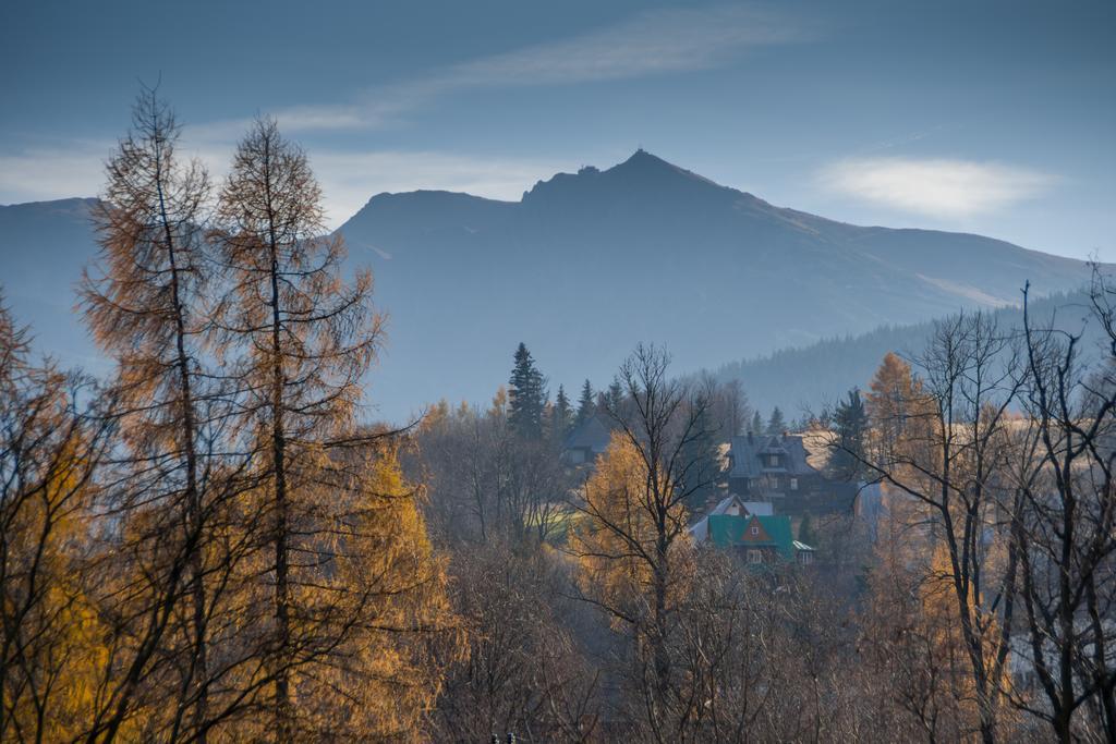 Willa Gardenia Zakopane Kamer foto